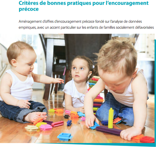 Leitfaden_BSV_Bild_fr.PNG